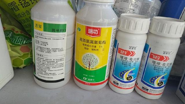 十月份園林植物病蟲(chóng)害防治技術(shù)與秋冬季防寒保溫要點(diǎn)