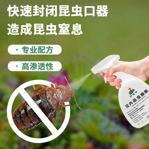 用對(duì)“護(hù)花神”，巧治家養(yǎng)花卉常見(jiàn)蟲(chóng)害 蚜蟲(chóng)、蚧殼蟲(chóng)與小黑飛全攻略