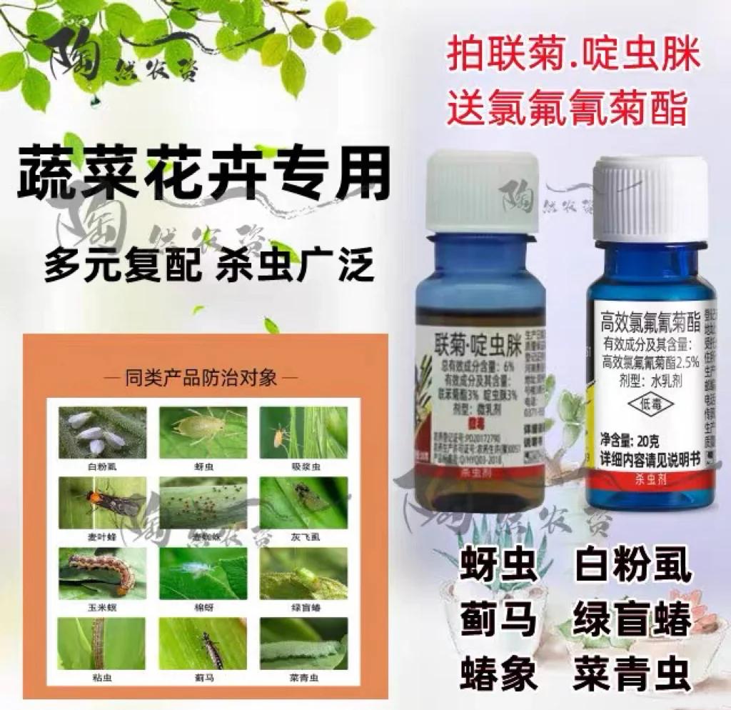 薊馬防治指南 輕松應(yīng)對(duì)植物蟲(chóng)害！