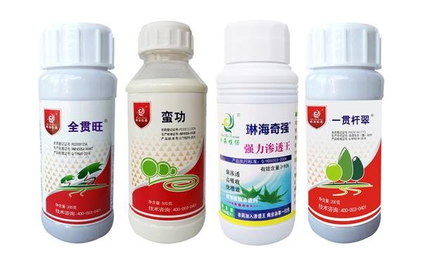 棕櫚紅棕象甲高工效防治服務全攻略 科學應對蟲害，守護移植植株健康