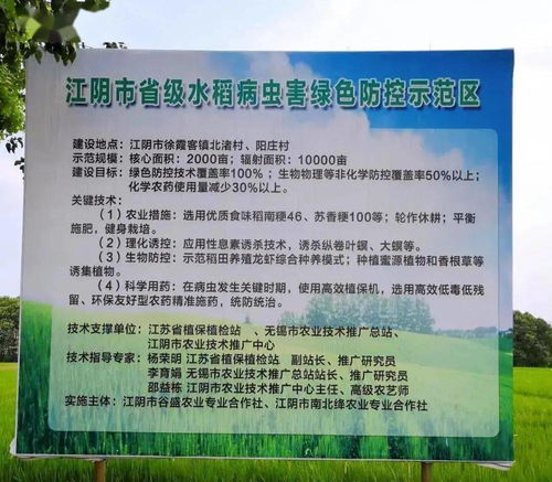 江陰市農業農村局 精準施策，扎實做好水稻穗期病蟲害防治工作