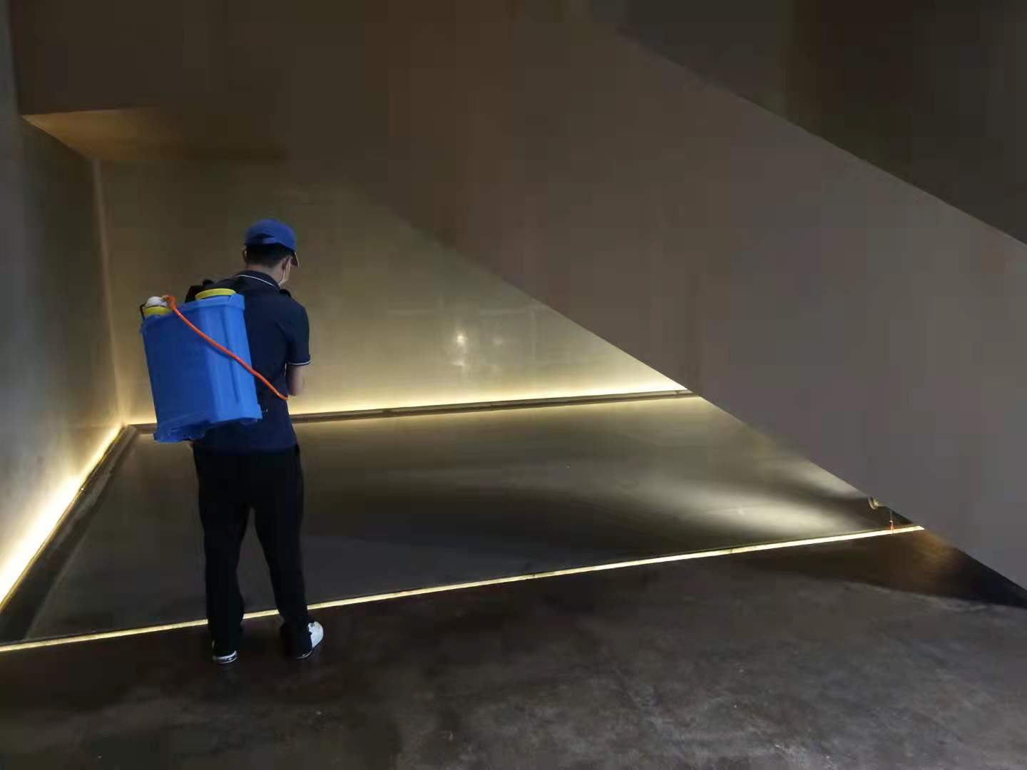 西安白蟻防治 萬徑滅白蟻，穩健之力解蟲患